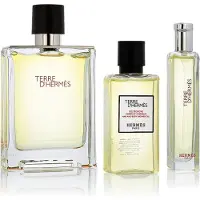 Hermès Paris Hermes - Terre d'Hermes Coffret EDT 100 ml, EDT miniature 15 ml et gel douche 40 ml 100ml