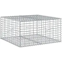 vidaXL Gabion avec couvercle 100x100x50 cm Fer galvanisé