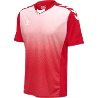 Hummel T-Shirt fonctionnel rouge / blanc