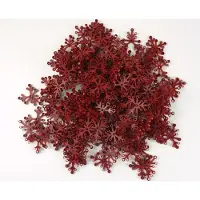LEGO 6x5 Feuilles Branches Feuilles Plantes Rouge foncé - 2417 NOUVEAU Quantité 250x