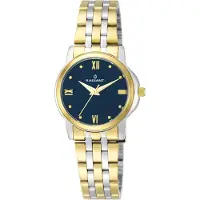 Radiant Montres ra453203