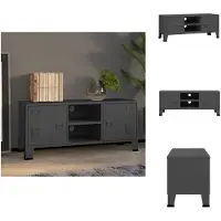 vidaXL Meuble TV style industriel anthracite 105x35x42 cm métal - Meuble TV