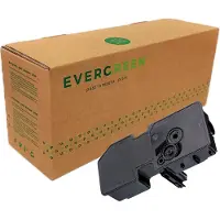 Evergreen 352911-043408 Kit de toner alternatif magenta (352911043408)