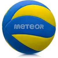 Meteor EVA Volleyball #5