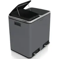 Karat Poubelle à pédale Felix Système de tri Gris foncé 2 x 30 litres (60 litres)