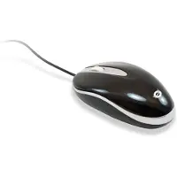 Conceptronic CLLMEASY Maus CLLMEASY V2 Optical USB grau