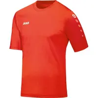 Jako Trikot Team KA