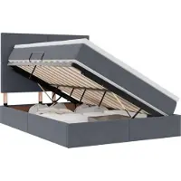 vidaXL Lit de rangement avec matelas gris foncé 140 x 200 cm velours