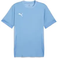 Puma T-Shirt fonctionnel 'TeamGoal Matchday' bleu ciel / blanc