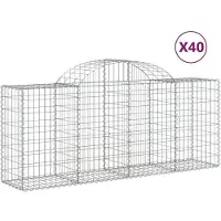 vidaXL Gabions avec arc surélevé 40 pcs. 200x50x80/100cm Fer galvanisé