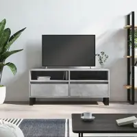 Prolenta Maison Exclusive - Meuble TV gris béton 100x34,5x44,5 cm Matériau dérivé du bois