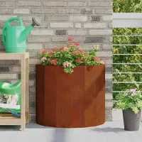 Prolenta Maison Exclusive - Bac à plantes rouillé 60 x 30 x 50 cm Acier résistant aux intempéries