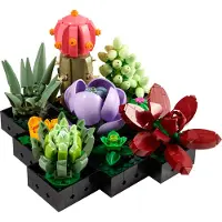 LEGO Les succulentes