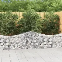 Prolenta Maison Exclusive - Paniers à gabions arqués 14 pcs 200x30x60/80 cm Fer galvanisé