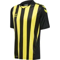 Hummel T-Shirt fonctionnel jaune / noir