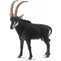 Collecta Antilope croupion - (L)