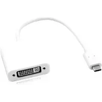 Roline Adaptateur d'écran USB type C - DVI