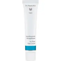 Dr. Hauschka Med - Crème pour le visage Fleur de midi 40ml