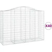vidaXL Gabions avec arc surélevé 40pcs. 200x50x140/160cm Fer galvanisé