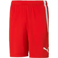 Puma Short Hommes Teamliga - Rouge