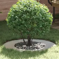 Prolenta Maison Exclusive - Adaptée pour anneaux d'arbres plats, argentés, diamètre 40/70 cm, en acier galvanisé