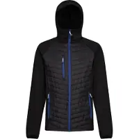 Regatta - Veste hybride "Navigate" pour homme RG9341 (S) (Noir/Bleu roi)