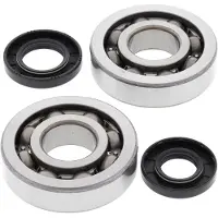 All Balls Jeu de roulements vilebrequin pour Kawasaki KX 250 ccm année 2002 - 2008