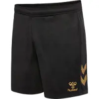 Hummel Pantalon de sport or / noir