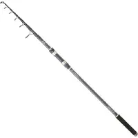 Daiwa Samurai Tele Canne à carpe argent 3.60 m / 60-120 g argent 3.60 m