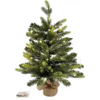 Generic Rebecca Mobili Sapin de Noël artificiel, H 60 cm, 50 lumières LED, PVC et PE, vert