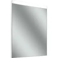 Schneider LOW plus LED miroir lumineux, 495x38x731, 195.050.01.02
