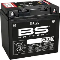 Bs Battery SLA Batterie sans entretien activée en usine - 53030