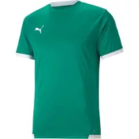Puma teamLIGA Jersey Jr - vert, taille:116