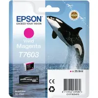 Epson T7603 (C13T76034010) Cartouche d'encre magenta vif