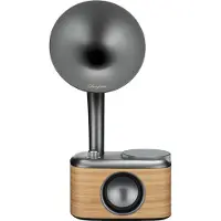 Sangean CP-100DBG