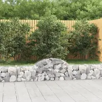 Prolenta Maison Exclusive - Paniers à gabions arqués 9 pcs 200x30x40/60 cm Fer galvanisé