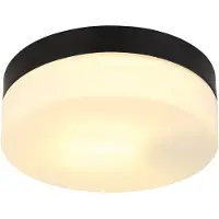 Globo VRANOS 32111B outdoor plafond