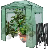 Costway Serre en film plastique, serre avec 2 portes enroulables & 2 fenêtres, serre à tomates avec film PE grillagé, serre pour plantes, 180x250x230cm vert