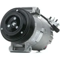 Delphi Compresseur de climatisation TSP0155928