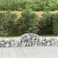 Prolenta Maison Exclusive - Paniers à gabions arqués 40 pcs 200x50x40/60 cm fer galvanisé