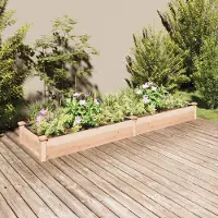 Syfax Lit surélevé de jardin doublure 240x60x25 cm bois massif sapin