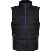 Regatta - Gilet pour homme RG9318 (S) (Noir/Bleu roi)