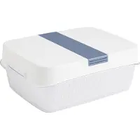 Rotho Boîte fraîcheur avec couvercle Fresh 6,4L - Réfrigérateur Bac à légumes avec passoire 31,4 x 23,9 x 12,0 cm - Boîte de conservation pour fruits et légumes