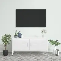 Prolenta Maison Exclusive - Meuble TV blanc 105x35x50 cm acier