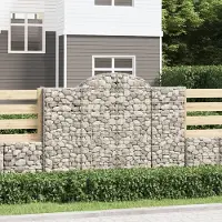 Prolenta Maison Exclusive - Paniers à gabions arqués 20 pcs 200x50x140/160 cm Fer galvanisé