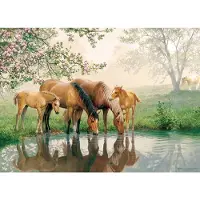Cobble Hill Puzzle Pièces XXL - Horse Family - 200 à 499 pièces