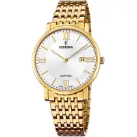 Festina Montre à affichage analogique argent