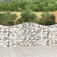 Prolenta Maison Exclusive - Paniers à gabions arqués 13 pcs 200x30x100/120 cm Fer galvanisé