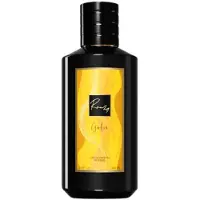 Rua29 Gobi Eau de Parfum mixte 100 ml
