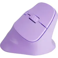 Natec Crake 2 mouse Universal Right-hand RF Wireless + Bluetooth Optical 2400 DPI